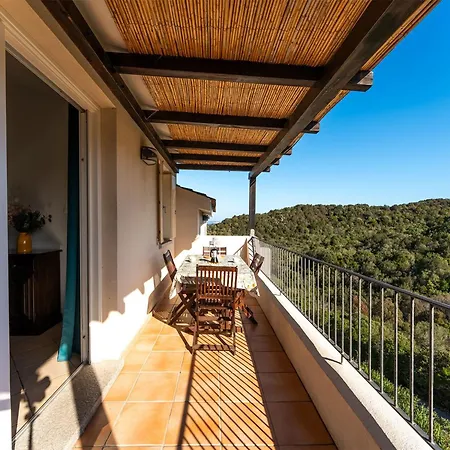 Complex Surrounded By Greenery With Pool Apartament