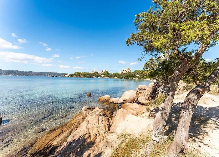 Complex Surrounded By Greenery With Pool *